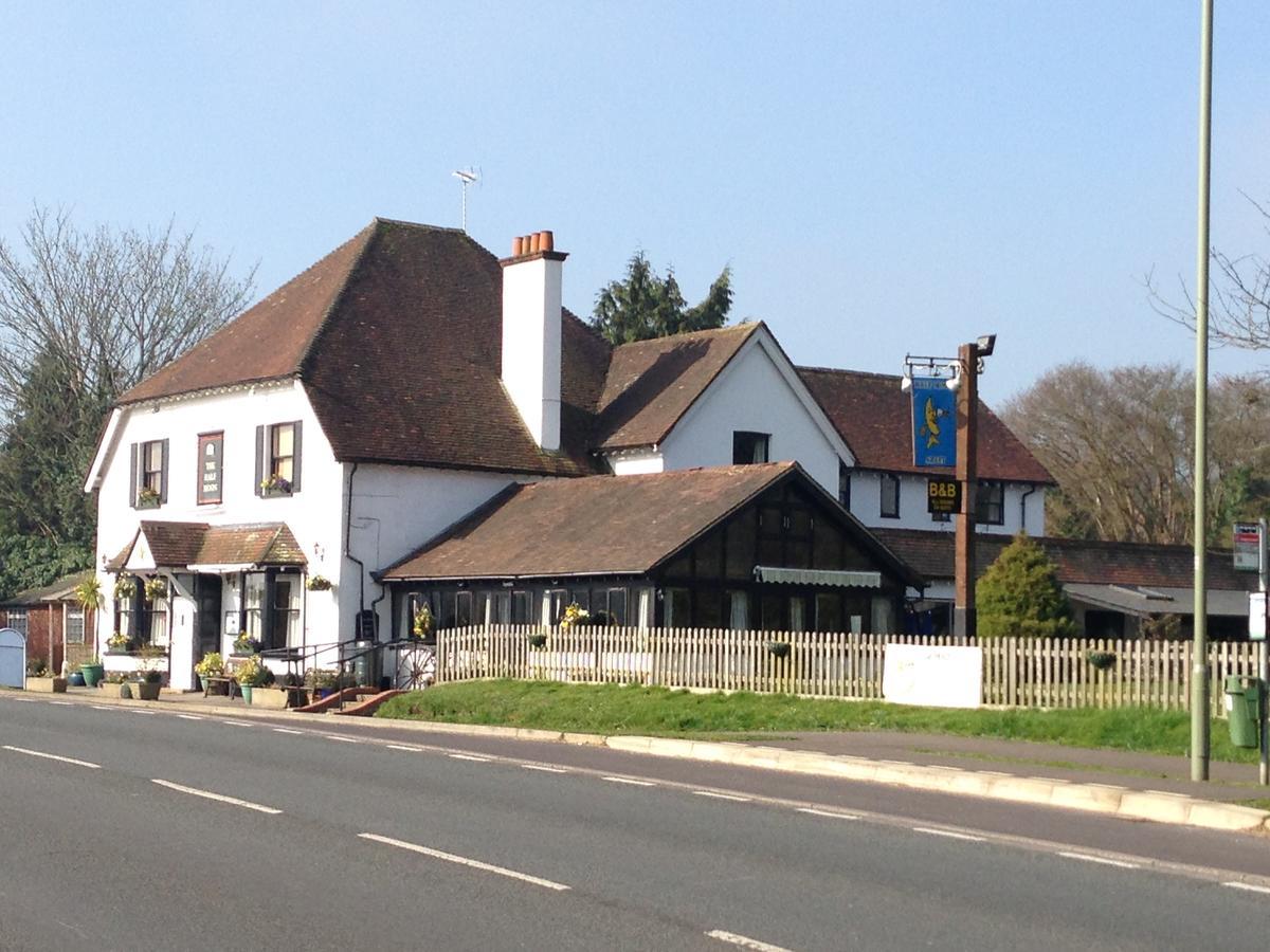 The Half Moon Hotel Petersfield Exterior foto